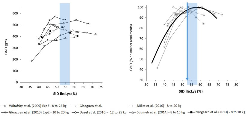 Figura 1: Resultados do crescimento em leitões obtidos em diferentes estudos segundo diferentes rácio Ile:Lys DIS . O crescimento expressa-se em valor absoluto ou em percentagem do melhor crescimento. Fonte: Ajinomoto Animal Nutrition Europe